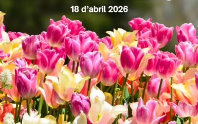 🌸 Ja tenim aquí la Festa de la Primavera!